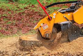 How Our Tree Care Process Works  in  Columbia, KY